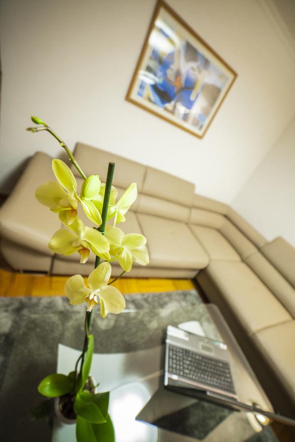 Business Class Apartment Cluj-Napoca Exterior foto